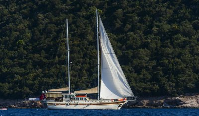 Daily Tours in Turkey